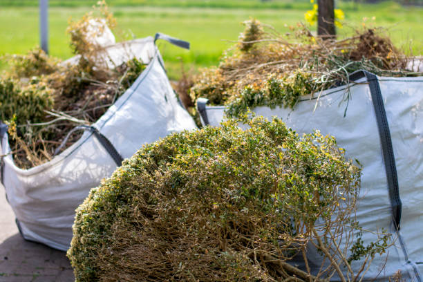 Best Professional Junk Removal  in Duncannon, PA